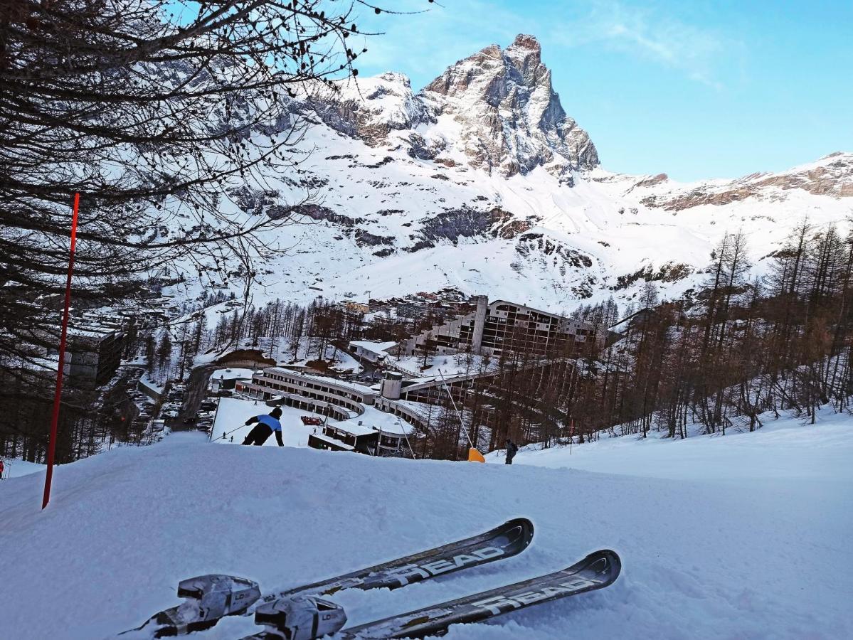 Soldanella Cervinia Apartment Vda Vacanze In Vetta Cir 0253 Breuil-Cervinia Eksteriør bilde